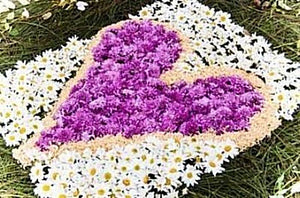 Heart design made of flowers for alfombra
